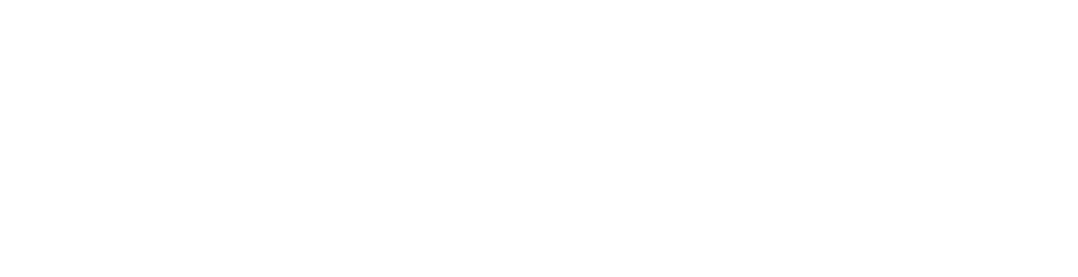 NZSALE logo